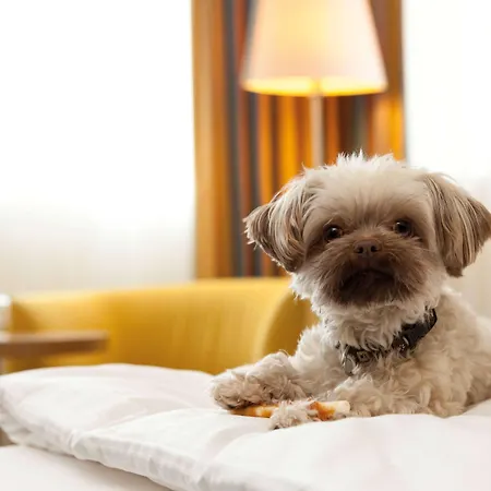 Hotel Vienna House By Wyndham Baltic