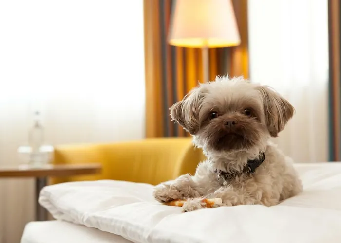 Vienna House By Wyndham Baltic